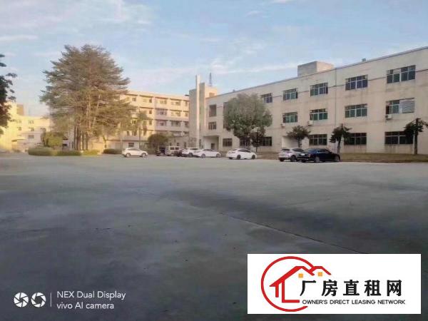  清溪原房东独院厂房3500平方大小可分