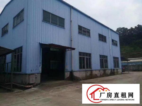  清溪原房东独院厂房3500平方大小可分