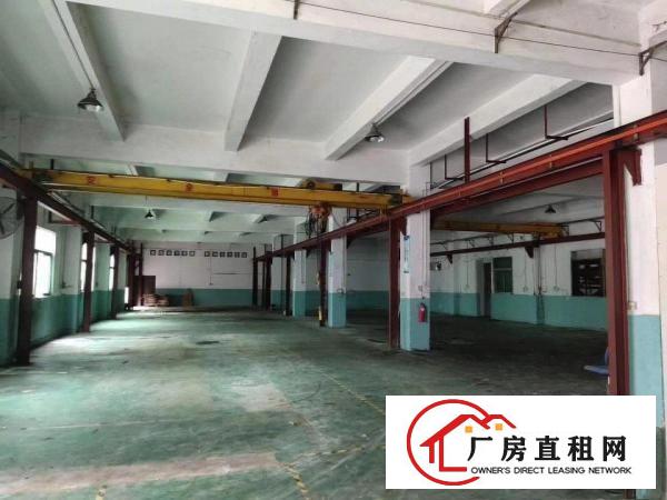  清溪原房东独院厂房3500平方大小可分