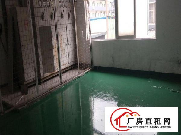  清溪新出2楼全新地坪漆