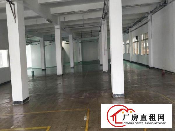  清溪新出2楼全新地坪漆