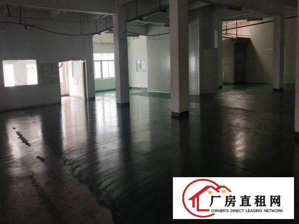  清溪新出2楼全新地坪漆