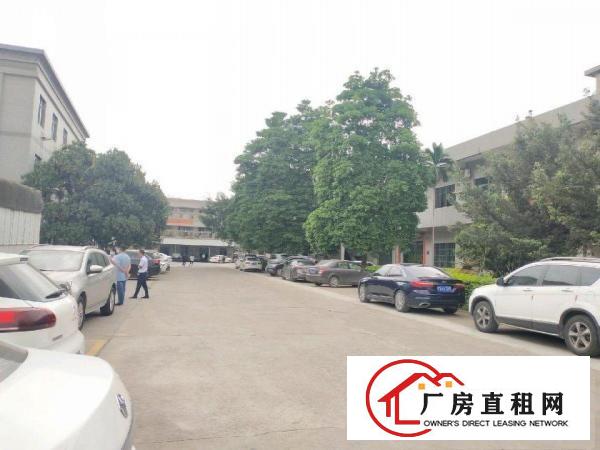  花园式标准厂房出租，形象好！