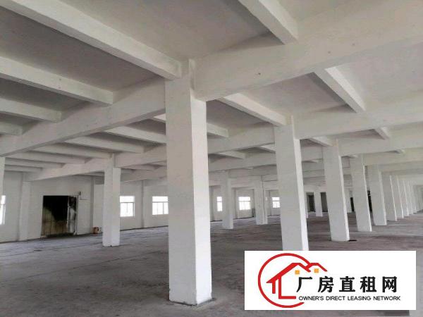  清溪三中厂房二楼整层3800平，现成全新装修