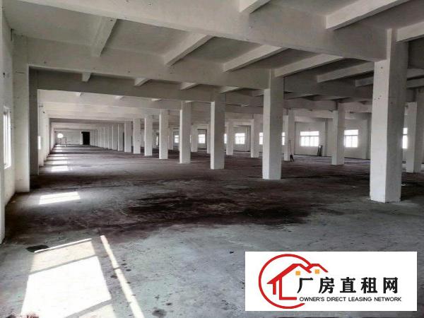  清溪三中厂房二楼整层3800平，现成全新装修