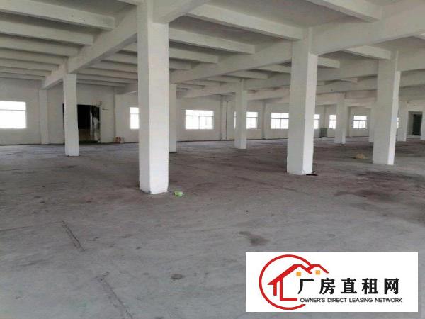  清溪三中厂房二楼整层3800平，现成全新装修