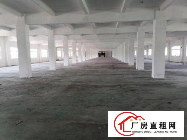  清溪三中厂房二楼整层3800平，现成全新装修