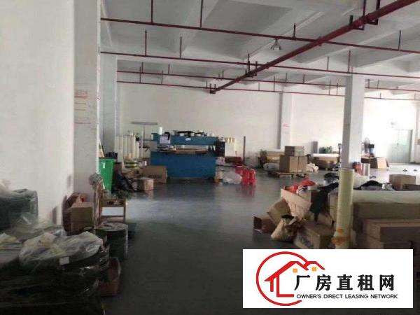  无转让费精装修电子电商办公贸易清溪厂房出租1180平