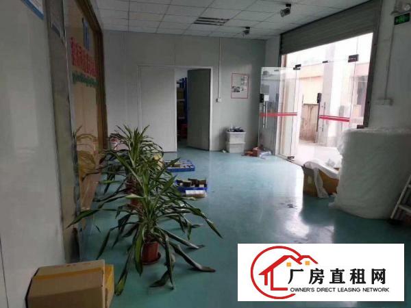  清溪镇中心楼上（豪华装修无尘车间）厂房出租800平