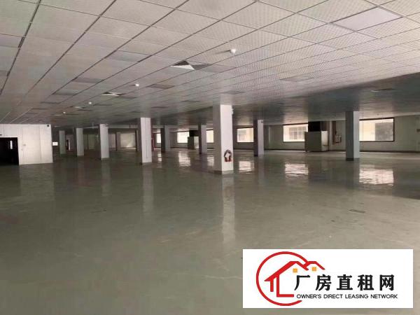  带红本证件齐全清溪花园式独院厂房出租大小分租近高速口