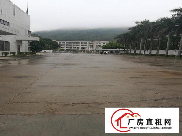  带红本证件齐全清溪花园式独院厂房出租大小分租近高速口
