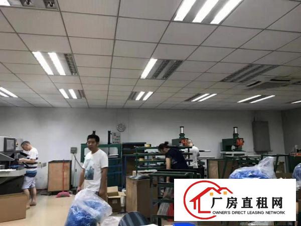  出租清溪镇270平方厂房，厂房精装修带地坪漆