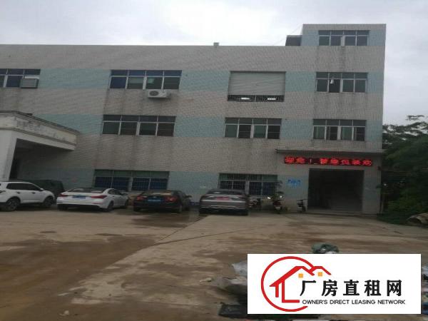  清溪三中新出三楼1600平