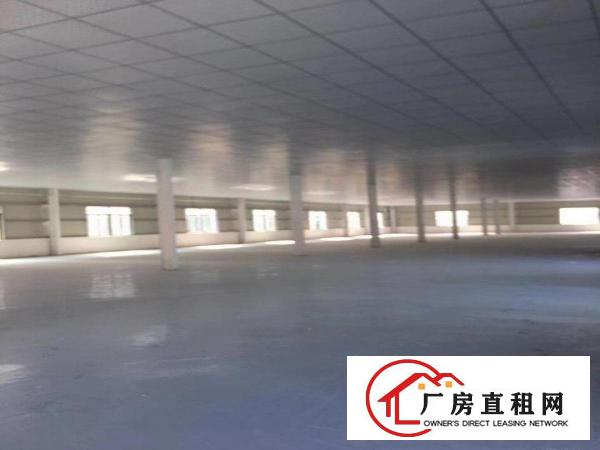  清溪大利独栋新建4090平厂房出租