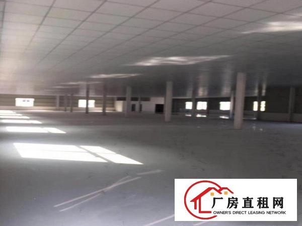  清溪大利独栋新建4090平厂房出租