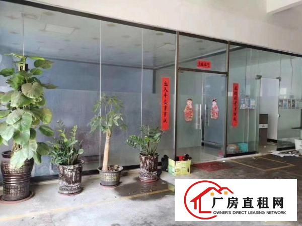  清溪镇三中新出一楼650平，11800全包，水电齐全。