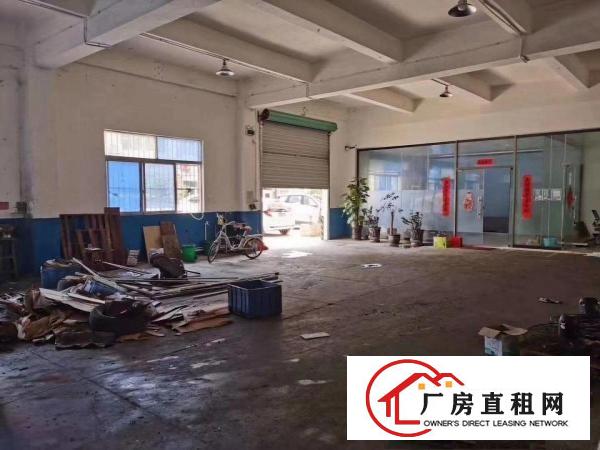 清溪镇三中新出一楼650平，11800全包，水电齐全。