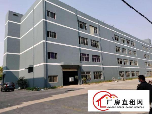  清溪三中工业区3万平方厂房出租200起租楼上10元一楼厂房租