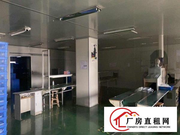  清溪新出做口罩车间厂房2000平方精装修有地坪漆办公家具齐全