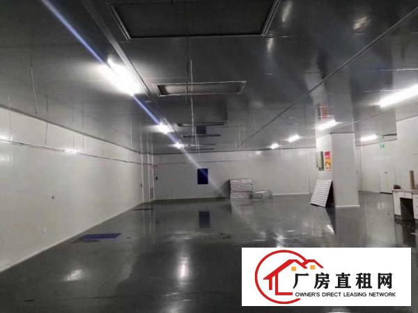  清溪新出做口罩车间厂房2000平方精装修有地坪漆办公家具齐全