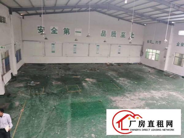  清溪新出7米高钢结构厂房895平方带装修出租可分租300平