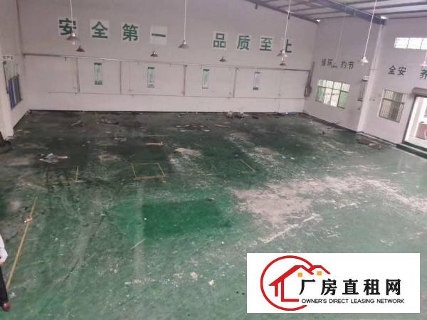  清溪新出7米高钢结构厂房895平方带装修出租可分租300平