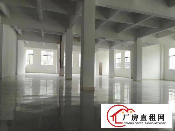  清溪武深高速出口一公里全新厂房地出租，全新地坪漆