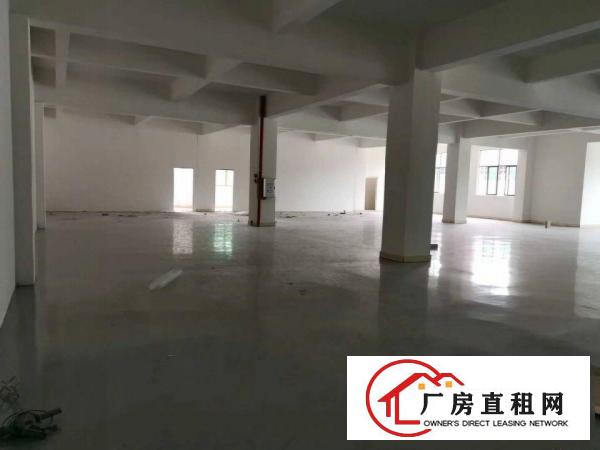  清溪武深高速出口一公里全新厂房地出租，全新地坪漆