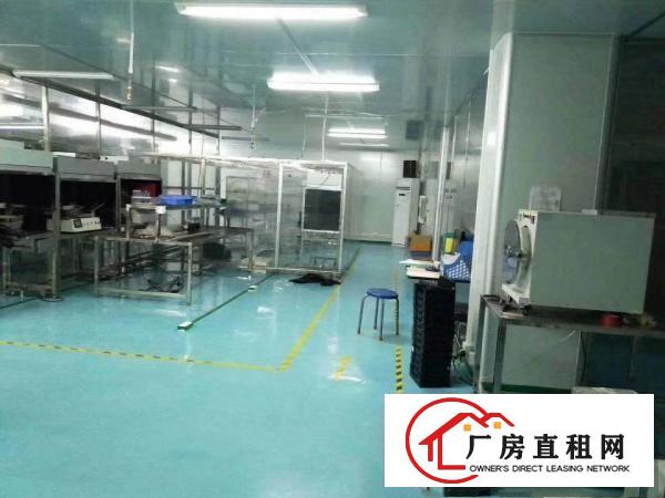  清溪镇主干道旁刚出无尘车间二楼800平方，地坪漆水电拎包生产