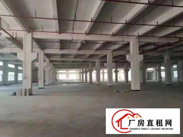  清溪原房东独院厂房出租，高速路口1公里