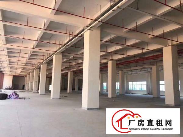  清溪原房东独院厂房出租，高速路口1公里