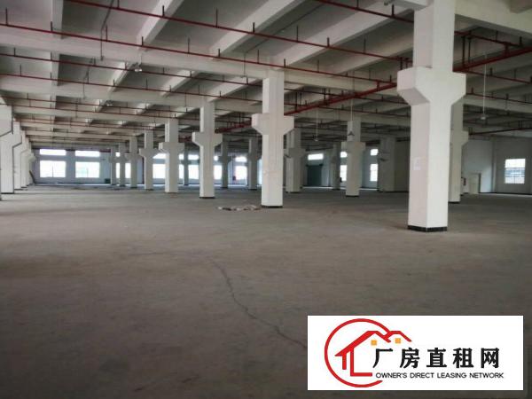  清溪原房东独院厂房出租，高速路口1公里