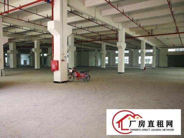  清溪原房东独院厂房出租，高速路口1公里