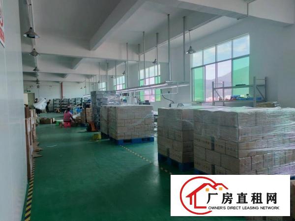  清溪三中工业园二楼1100平豪华精装修，可分租
