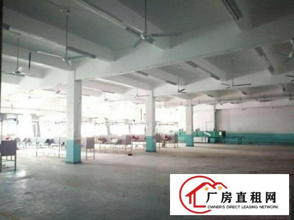  清溪高速路口新出三楼一整层3000平方出租一部三吨货梯