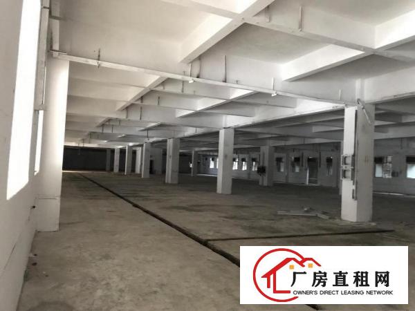  清溪原房东200平方起租(无公滩)厂房出租