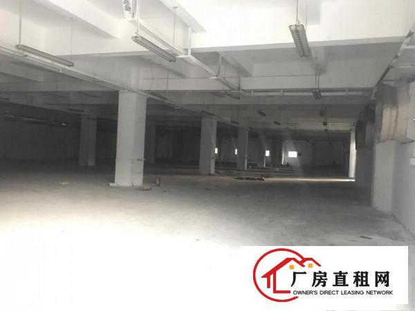 清溪原房东200平方起租(无公滩)厂房出租