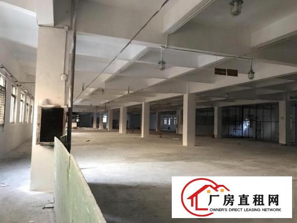  清溪原房东200平方起租(无公滩)厂房出租