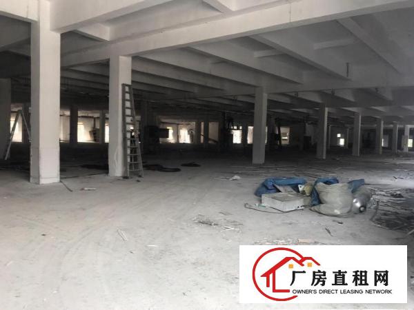  清溪原房东200平方起租(无公滩)厂房出租