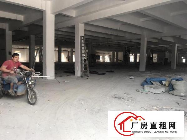  清溪原房东200平方起租(无公滩)厂房出租
