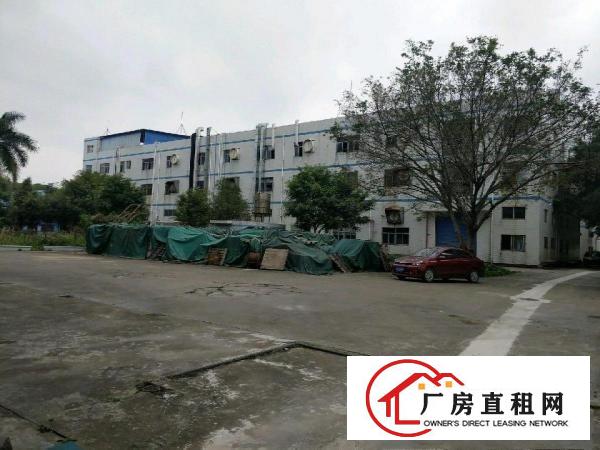  原房东独院厂房出租，