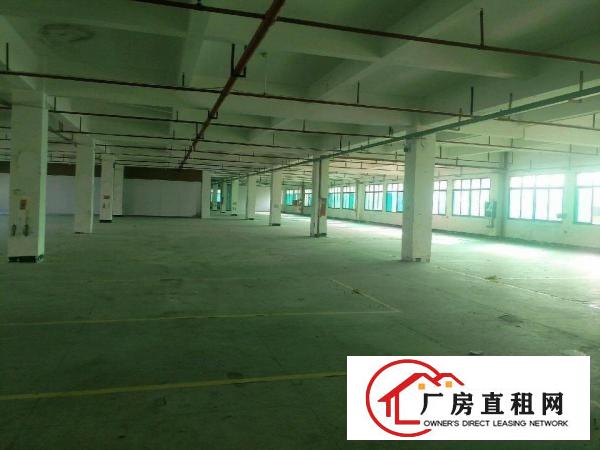  原房东独院厂房出租，
