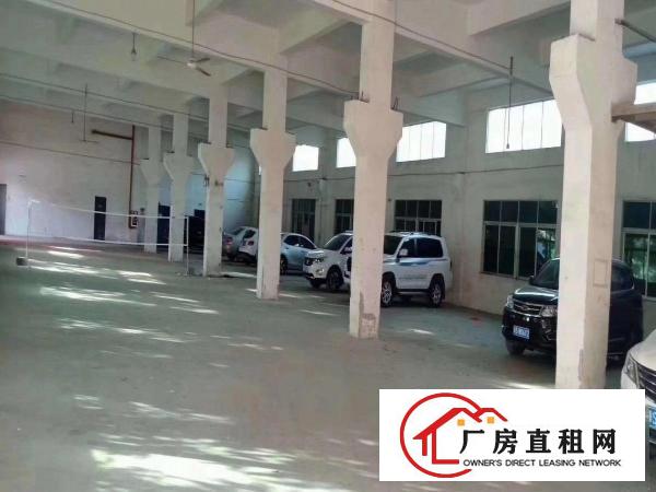  原房东独院厂房出租，