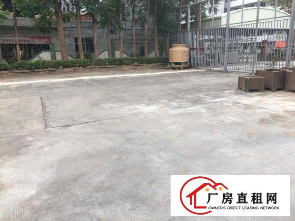  清溪高速路口6600平方可分租厂房