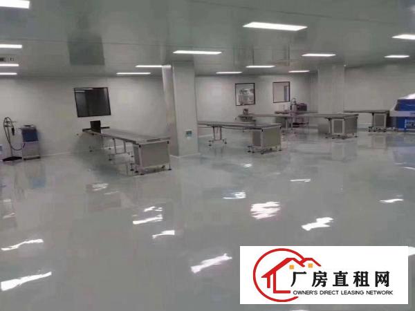  清溪无层车间2000平有口罩证件的厂房，拎包入驻
