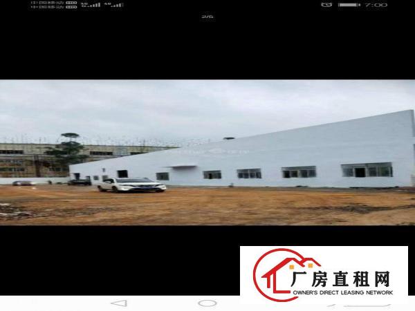  清溪三中新出全新单一层独院厂房招租