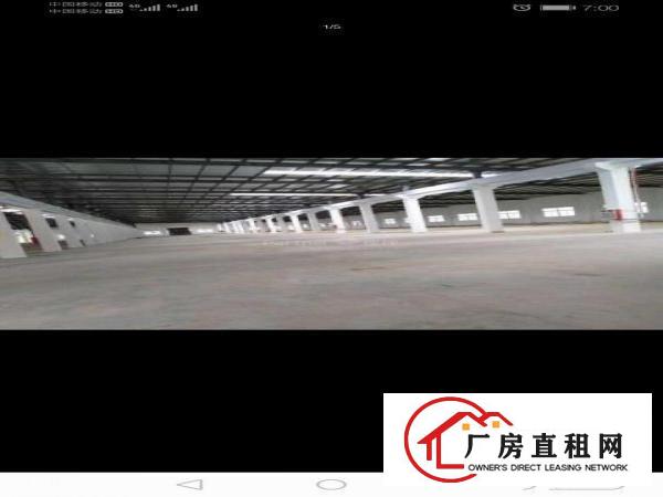  清溪三中新出全新单一层独院厂房招租