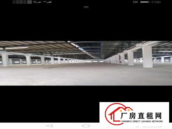  清溪三中新出全新单一层独院厂房招租