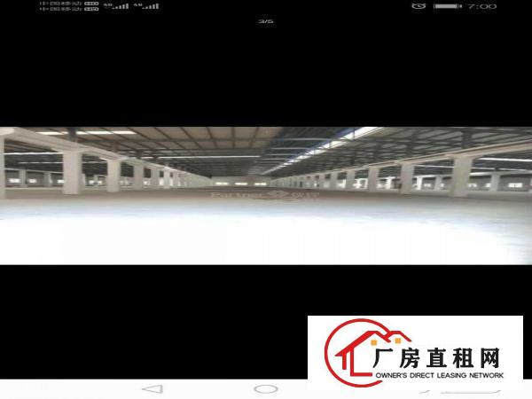  清溪三中新出全新单一层独院厂房招租