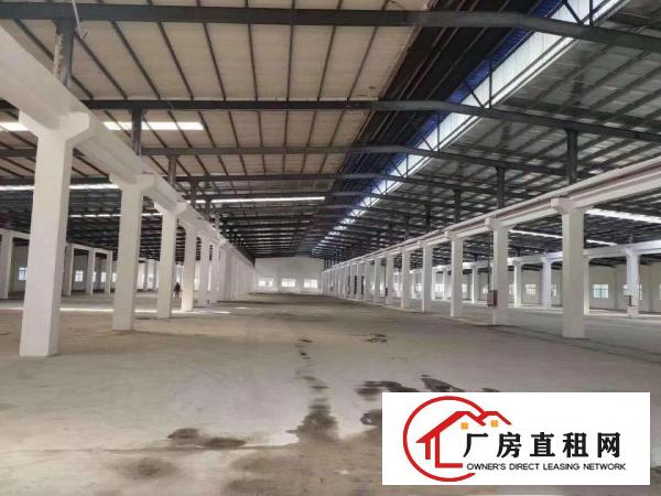  清溪三中新出全新单一层独院厂房招租